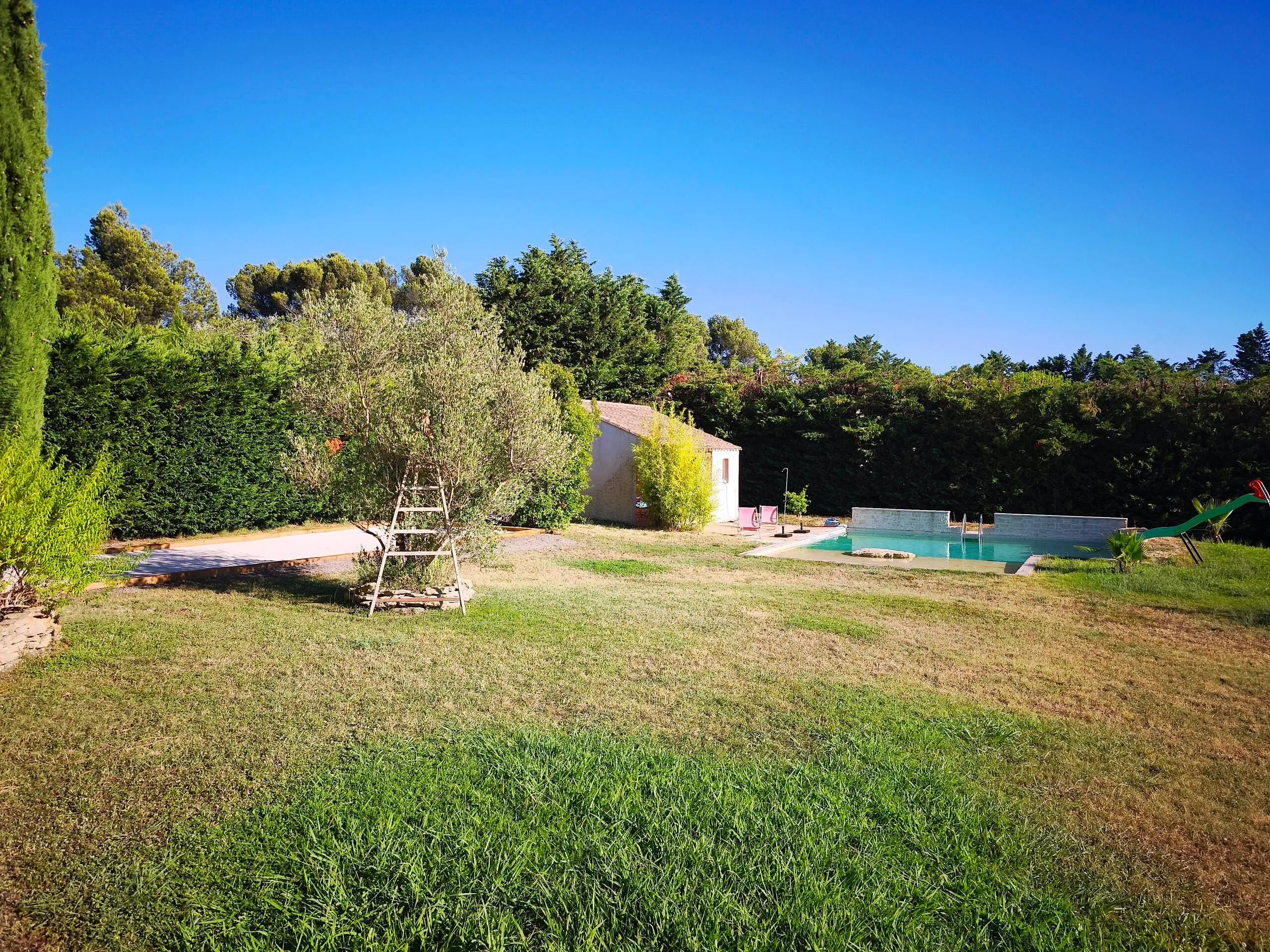 Le jardin clos de la Villa Roucas, son olivier et la piscine au fond