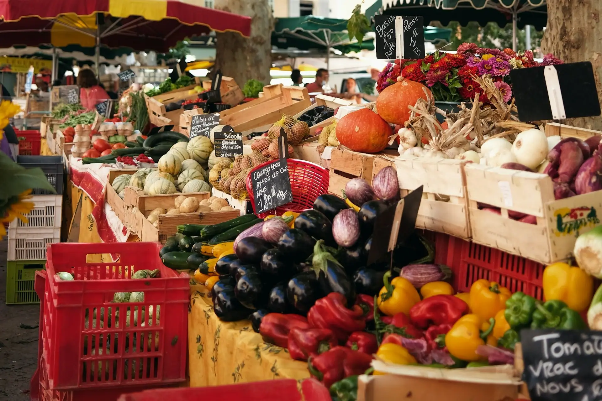 Étals de fruits et légumes sous les platanes d'un marché provençal