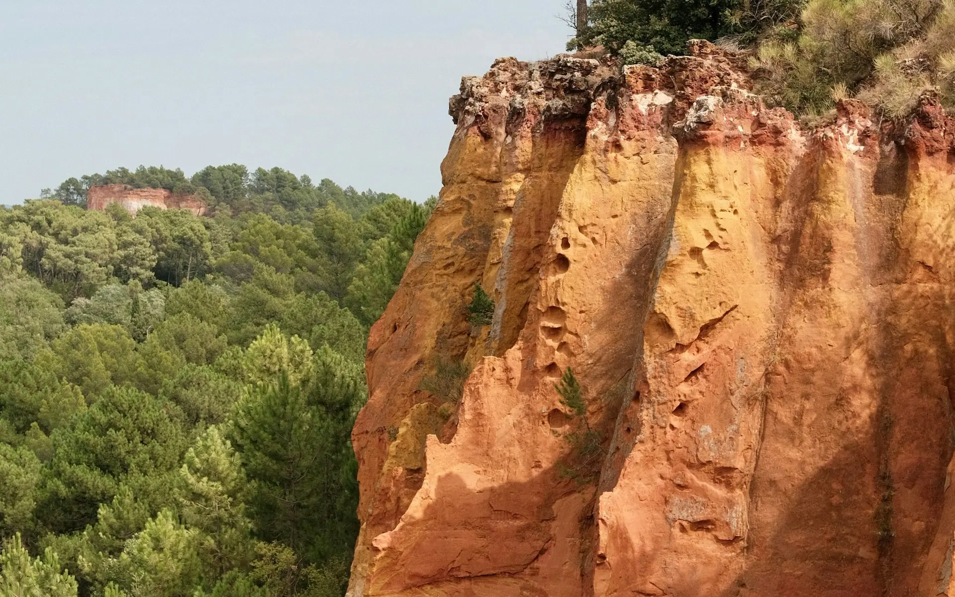 Falaise d'ocre orange surmontée de pins, sur le site des ocres de Roussillon